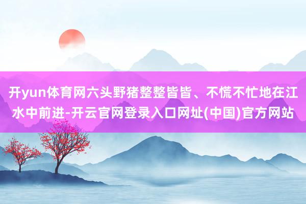 开yun体育网六头野猪整整皆皆、不慌不忙地在江水中前进-开云官网登录入口网址(中国)官方网站