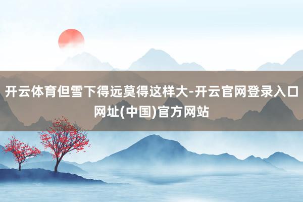 开云体育但雪下得远莫得这样大-开云官网登录入口网址(中国)官方网站
